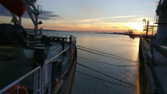 Pic. Alwine Oldendorff